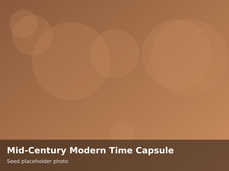 Overview of Mid-Century Modern Time Capsule