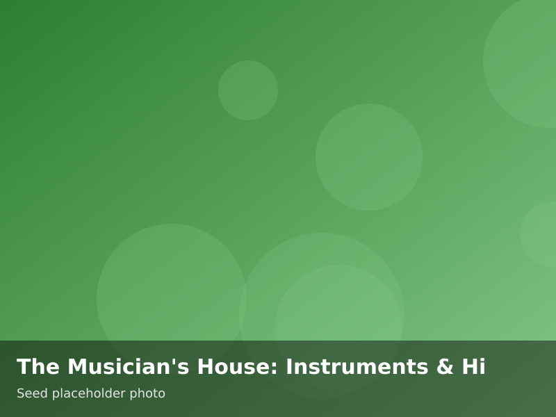 Overview of The Musician's House: Instruments & Hi-Fi